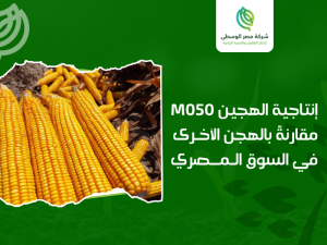 شركة إنتاج الهجين الفردي الأصفر M050