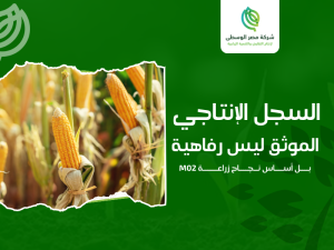 الهجين الفردي الأبيض M02
