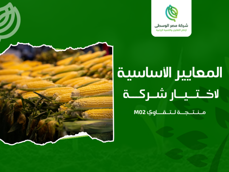 الهجين الفردي الأبيض M02