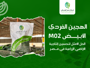 شركة إنتاج الهجين الفردي الأبيض M02