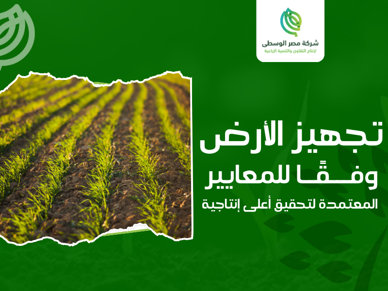 شركات إنتاج تقاوي الذرة في مصر