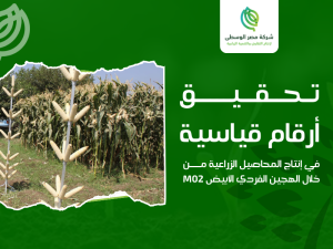 شركة إنتاج الهجين الفردي الأبيض M02