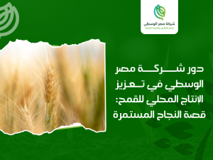 شركات إنتاج تقاوي الذرة في مصر