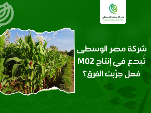 الهجين الفردي الأبيض M02