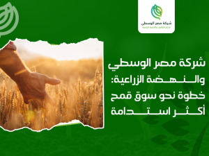 شركات إنتاج تقاوي الذرة في مصر