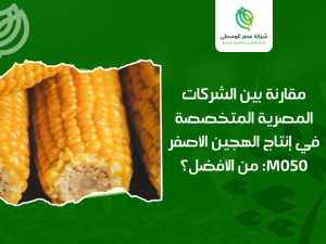 شركات إنتاج الهجين والبذور في مصر