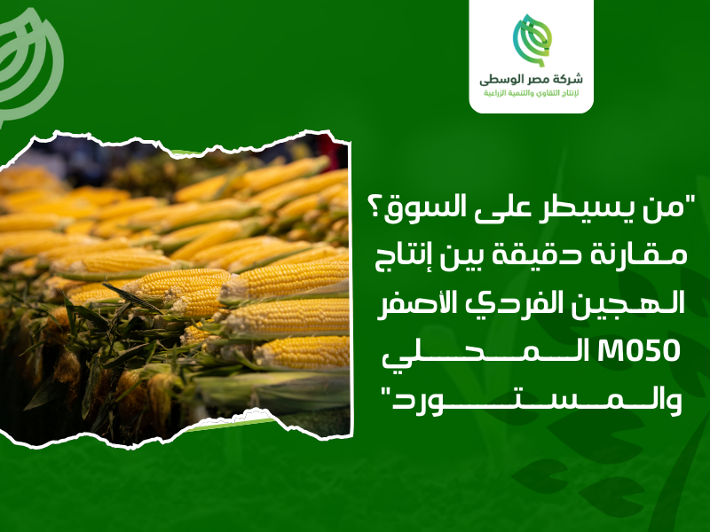 شركات إنتاج الهجين والبذور في مصر