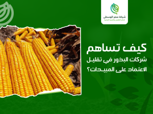 شركات البذور الزراعية في مصر