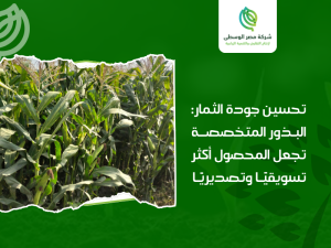 شركات البذور الزراعية في مصر