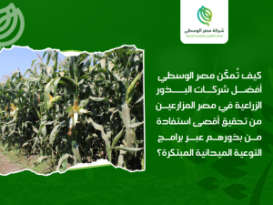 شركات البذور الزراعية في مصر