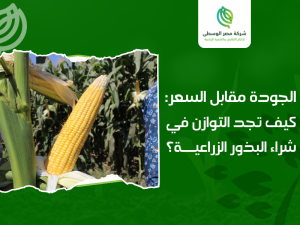 شركات البذور الزراعية في مصر