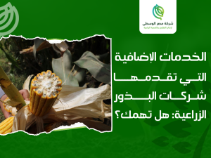 شركات البذور الزراعية في مصر