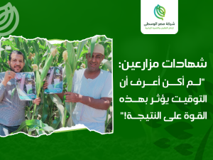 شركات البذور الزراعية في مصر