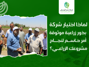شركات البذور الزراعية في مصر