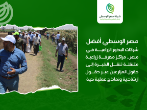 شركات البذور الزراعية في مصر