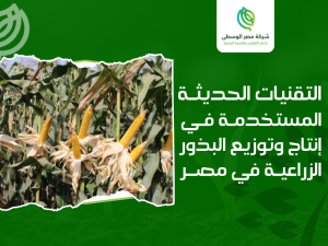 شركات البذور الزراعية في مصر