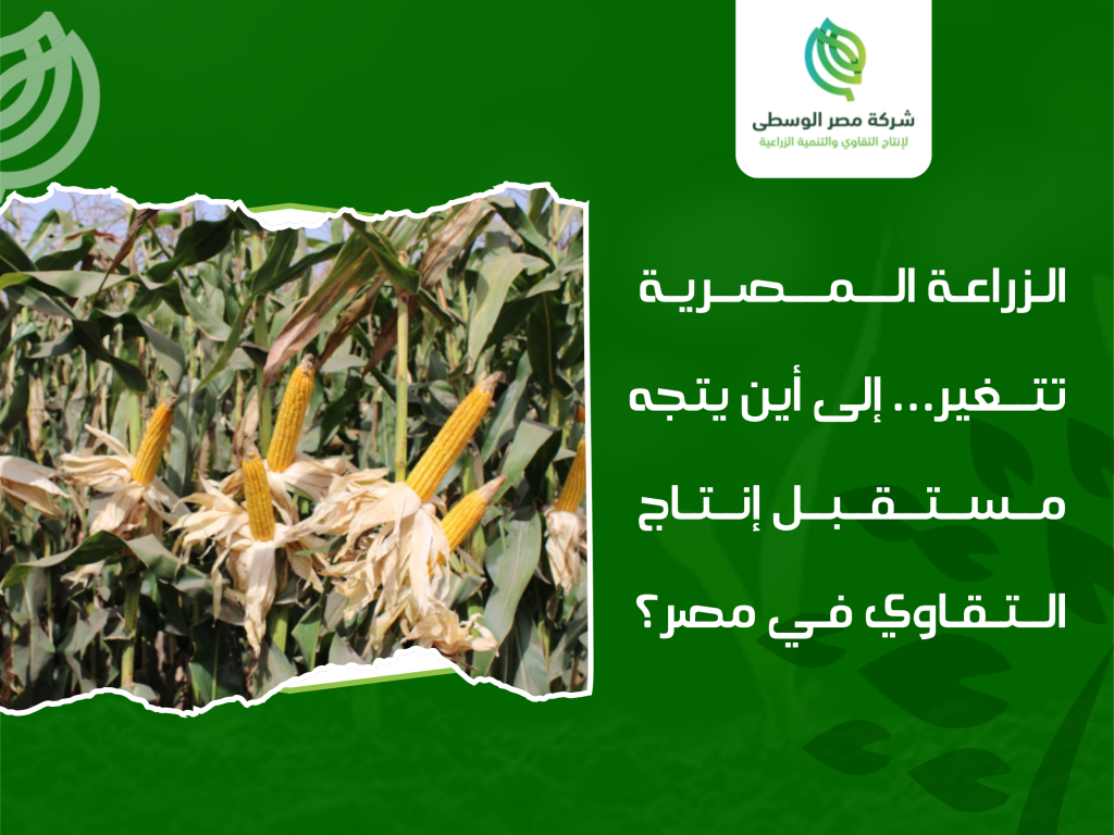 صناعة التقاوي