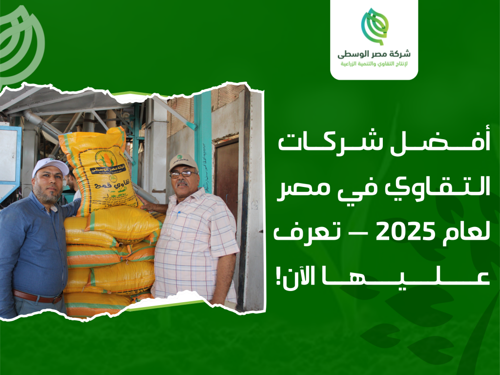 شركات التقاوي