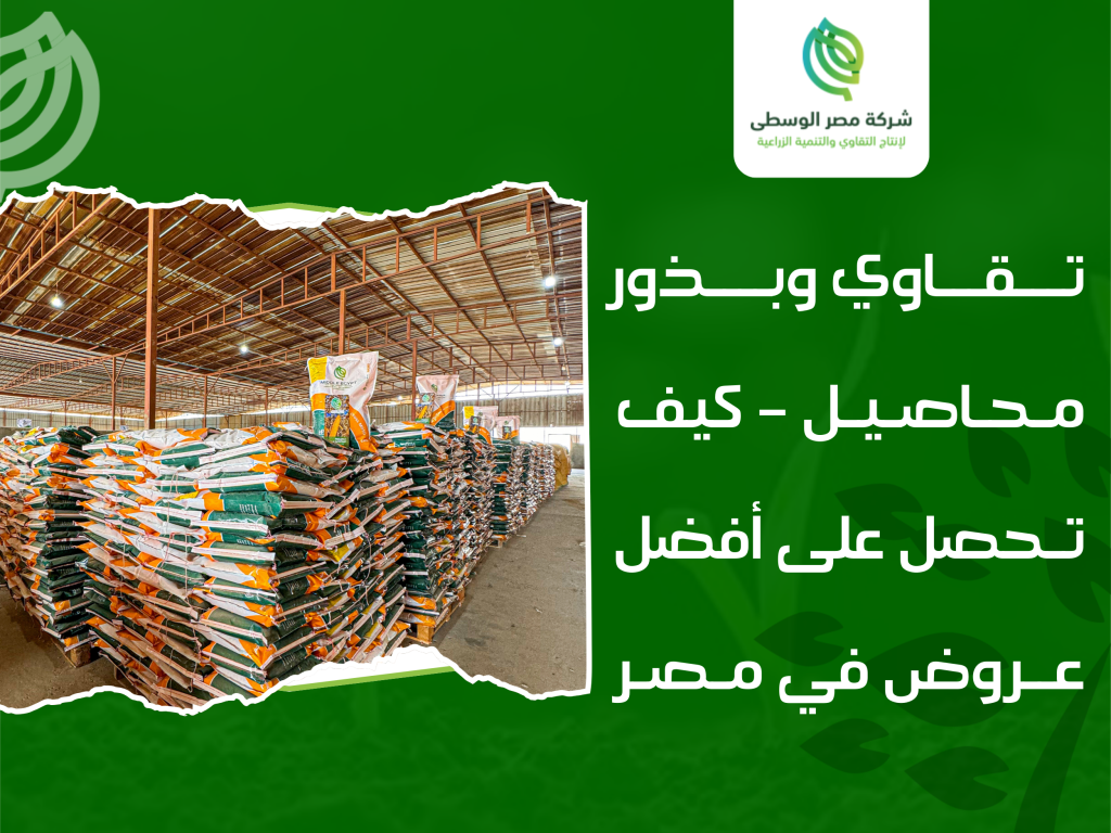 أسعار البذور