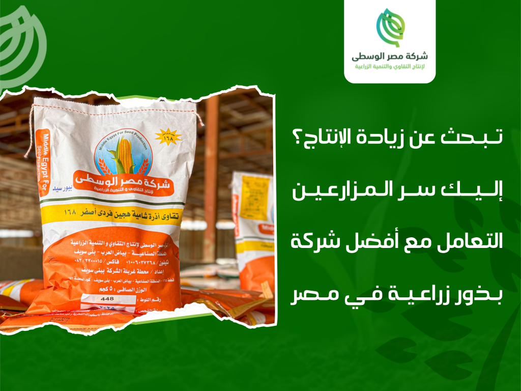 أفضل شركة بذور زراعية في مصر