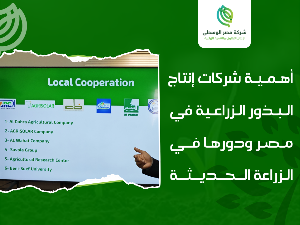 إنتاج البذور