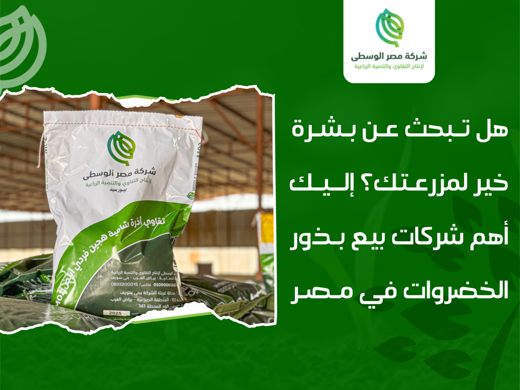 أفضل شركات بيع بذور الخضروات في مصر